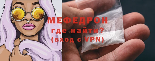 spice Богородск