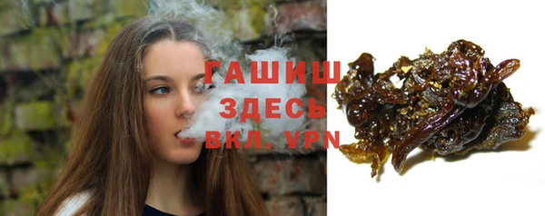 spice Богородск