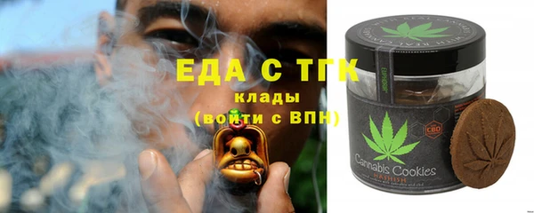 spice Богородск
