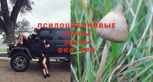 шишки Богородицк