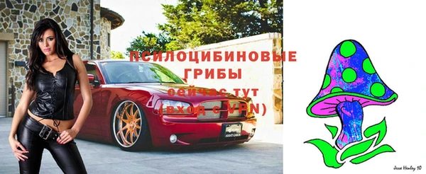 тгк Бугульма