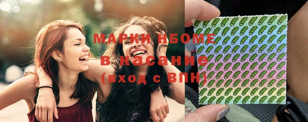 шишки Богородицк