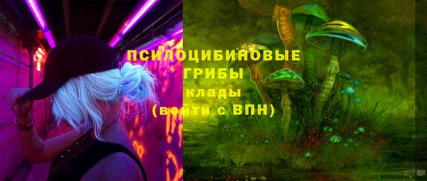 шишки Богородицк