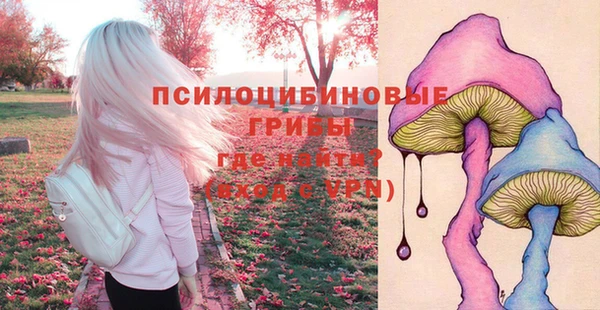 тгк Бугульма