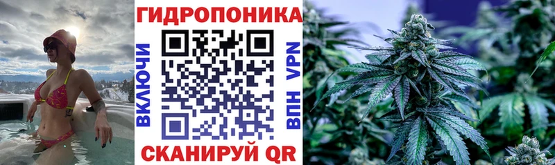 купить наркотики цена нарко площадка состав Марихуана план Княгинино